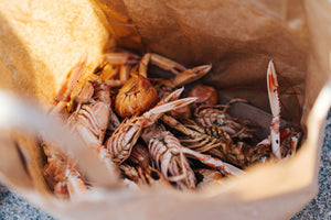 A bunch of crawfish in a brown bag